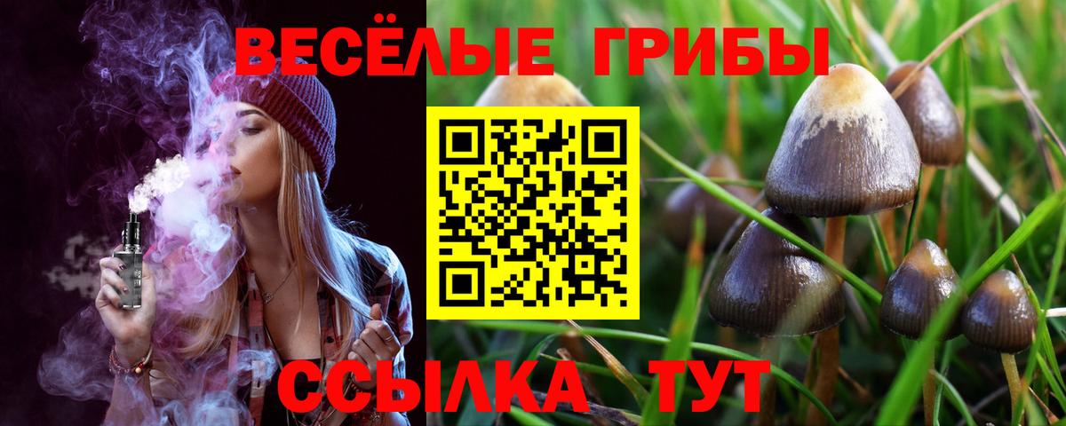 Галлюциногенные грибы Magic Shrooms Советский